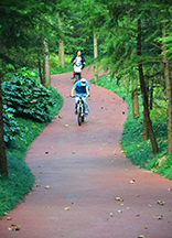 生態透水混凝土